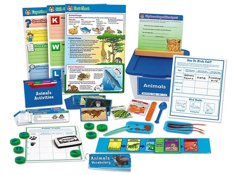 Animals Activity Tub