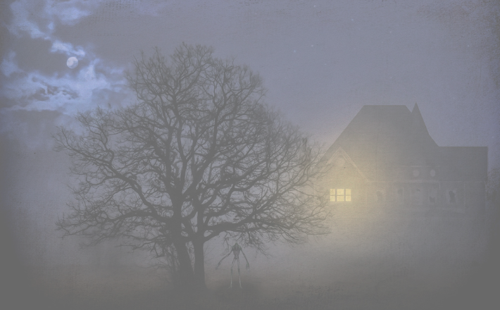 Large tree in front of a shadowy house with one light on in the distance