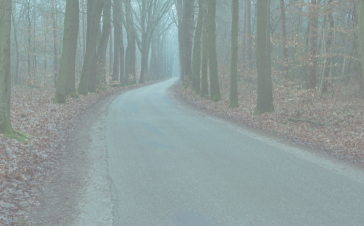 Winding paved road through the woods