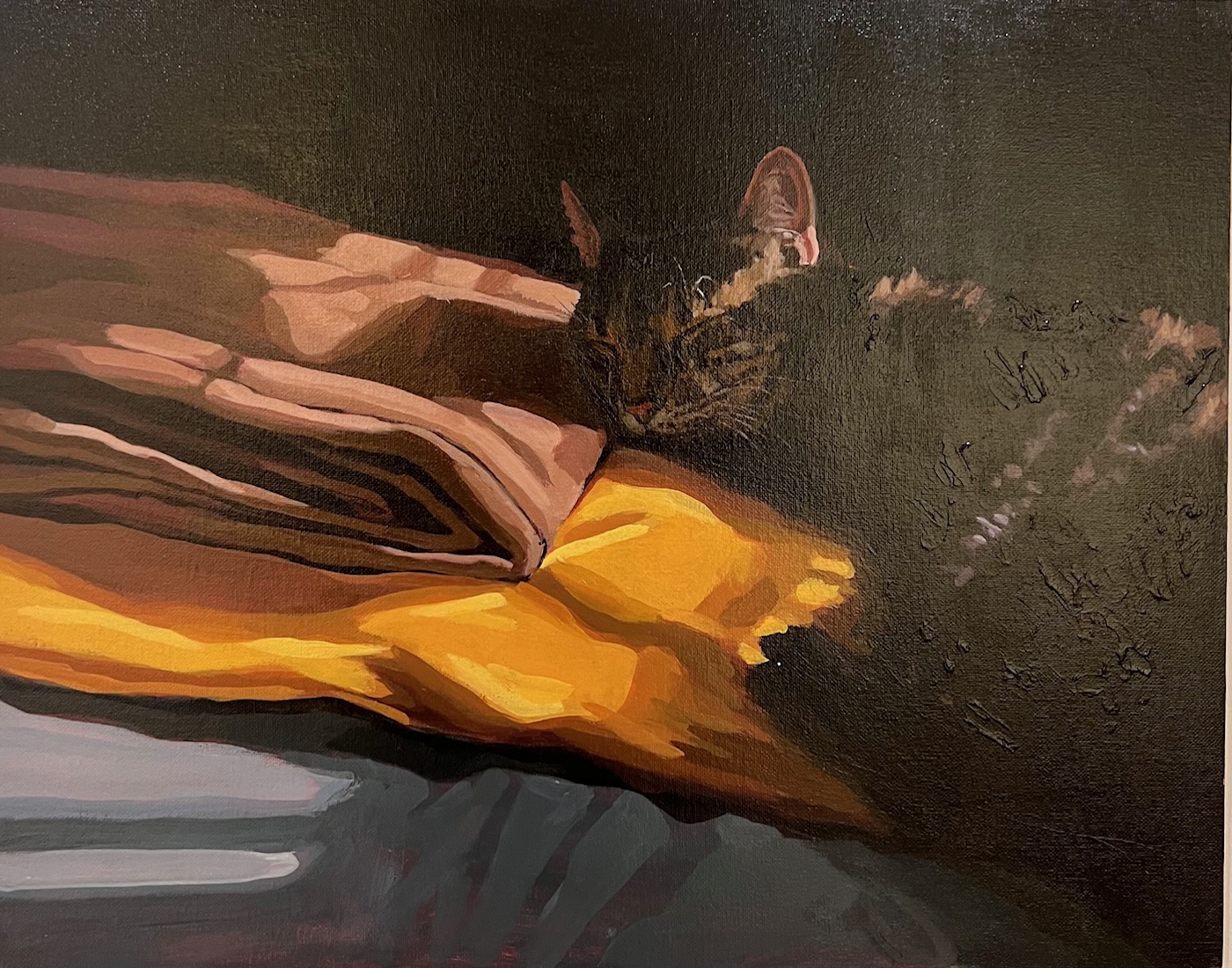 painting of a Sleeping Cat