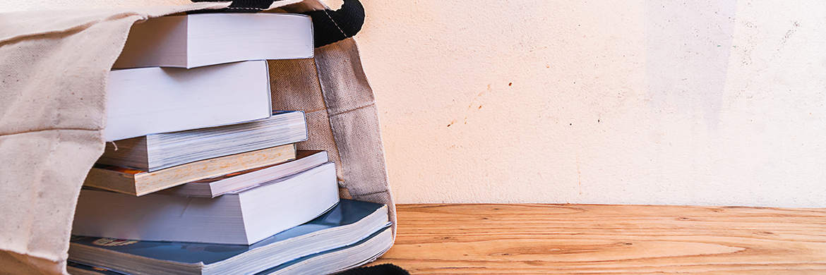 Books in a canvas bag