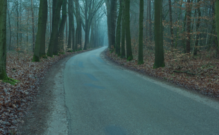 A dark winding road inside of a forest.