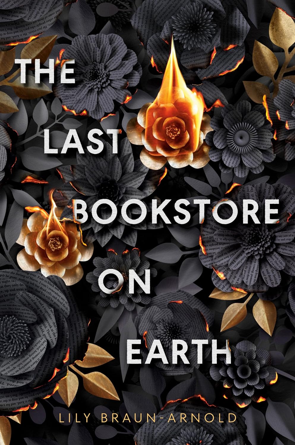 The cover of The Last Bookstore on Earth.