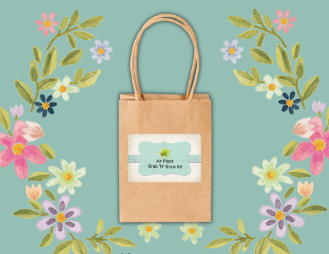 light green background flower wreaths around paper bag with air plant kit label on the bag