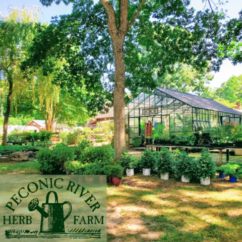 Peconic River Herb Farm