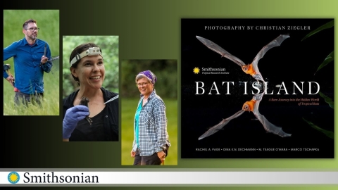 Images of researchers and Bat Island book cover.