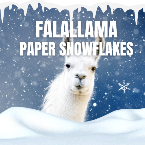 A llama in the snow.