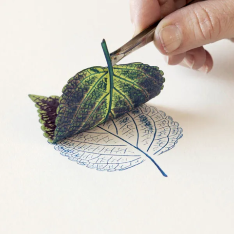 The process of a leaf print being made.