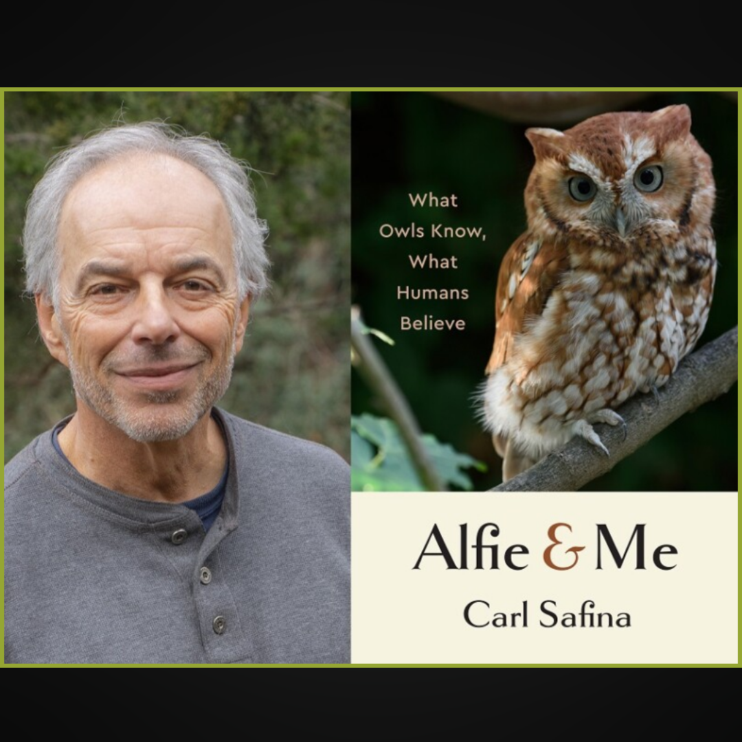 "Alfie & Me" Discussion with Author Carl Safina; Friday, February 2nd, 2024, 7pm